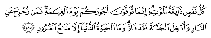 surah 3 verse 185 in arabic